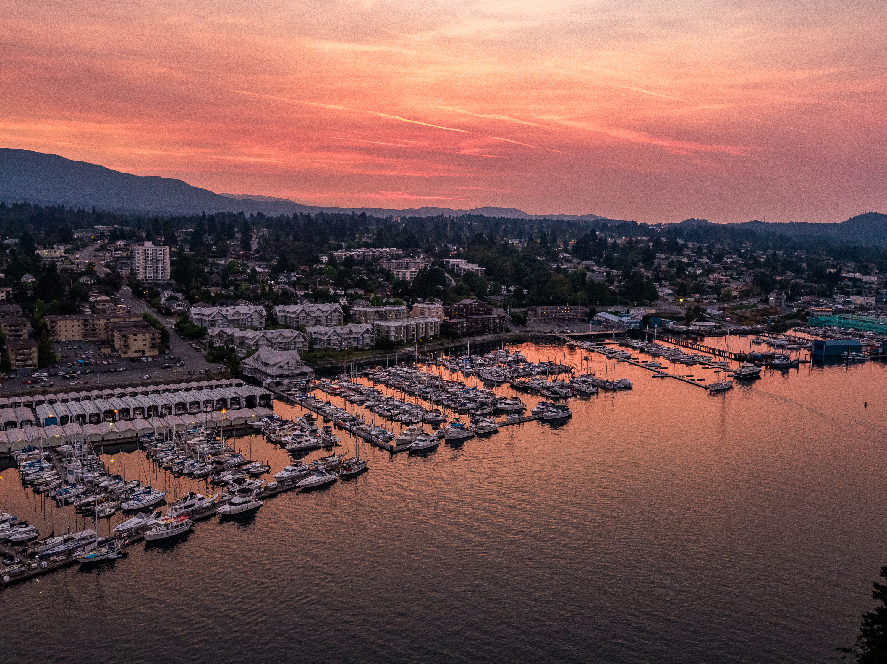 Things to Do in Nanaimo: Community Events &amp; Local Activities for March